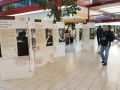 Razstava Citycenter_Celje_20170418_181241